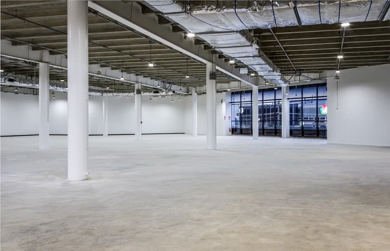 Briscoes Head Office Morningside — image 4