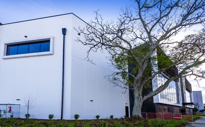 Briscoes Head Office Morningside — image 5